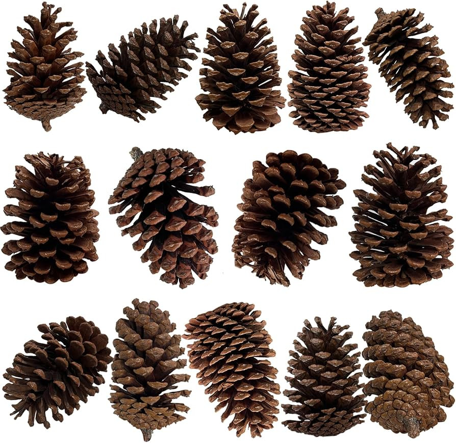 14 Pieces Large Natural Unscented Pine Cones Bulk, Rustic Christmas Natural Pinecone Ornaments Bi... | Amazon (US)