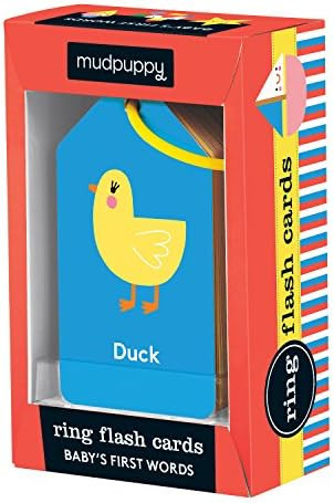 Mudpuppy Baby's First Words Flash Cards – 26 Double-Sided Word Flash Cards on a Reclosable Plas... | Amazon (US)