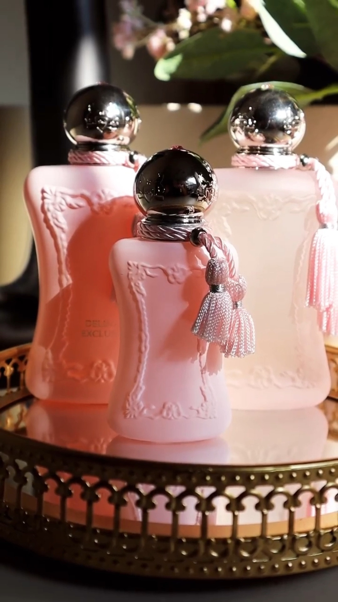 Baby Delina 💕

I’ll admit, it took me some time to come around to the original. My journey began with Exclusif, then I was captivated by La Rosee… then I saw this cute little thing. The same iconic pink packaging from PDM but wrapped up into a miniature size! 

What’s your favorite Delina and why???
 
 
 💖
#delina #delinaexclusif #delinalarosee #mini #minifragrances #pdm #parfumsdemarly #nicheperfume #luxuryparfum #nichefragrance #luxuryfragrance #vday #bemyvalentine #bemine #prettyinpink #unboxing #ａｅｓｔｈｅｔｉｃ #aestheticunboxing #smellgood #smellgoodfeelgood #smellgreat #sundayvibes #sundayfunday #shelfiesunday #shelfie

#LTKBeauty #LTKSeasonal