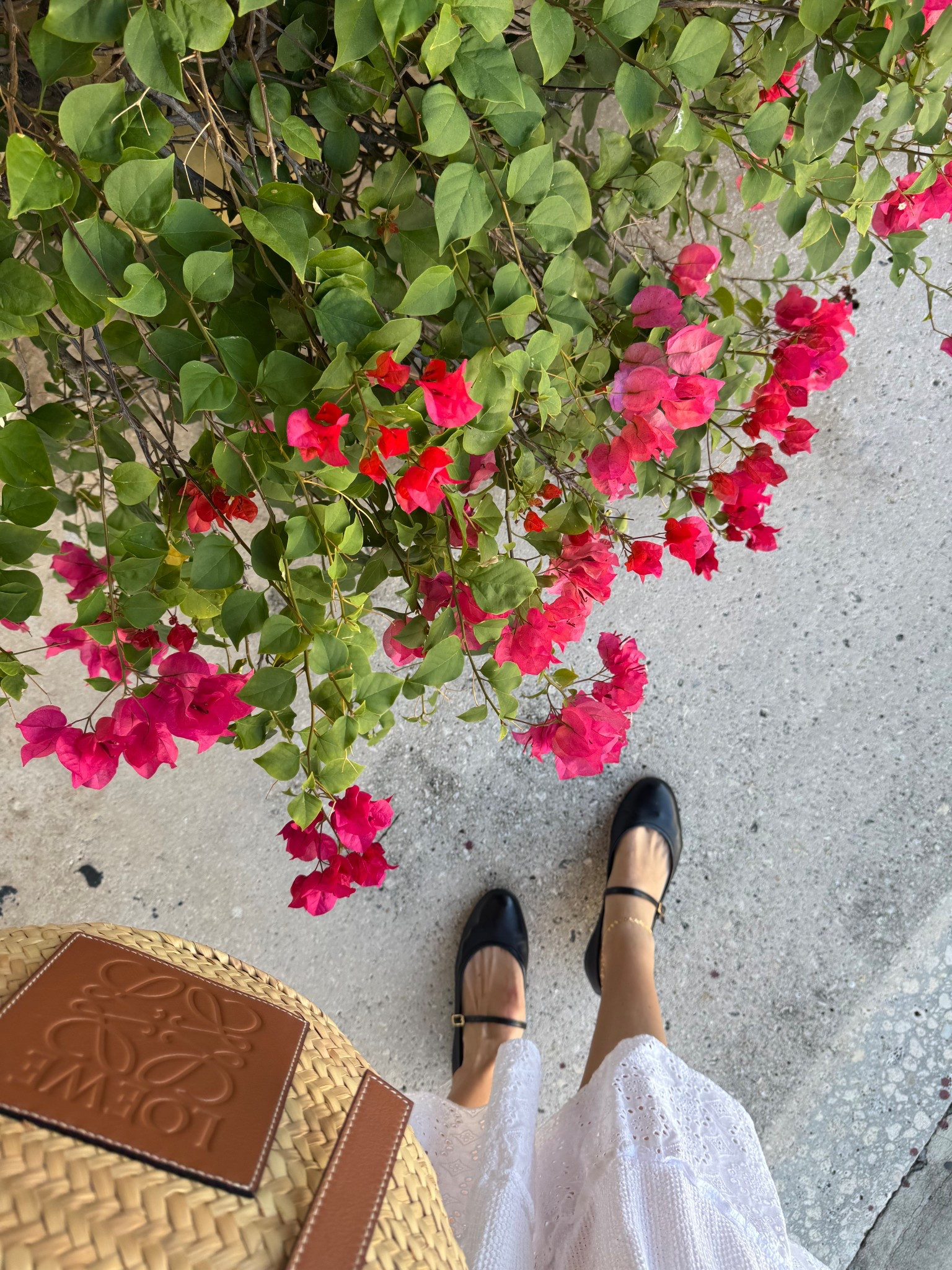 Ballet flats / fall shoes / black flats / Mary Jane’s / beach bag / mom style / mom ootd / everyday bag

#LTKShoeCrush #LTKStyleTip #LTKSeasonal