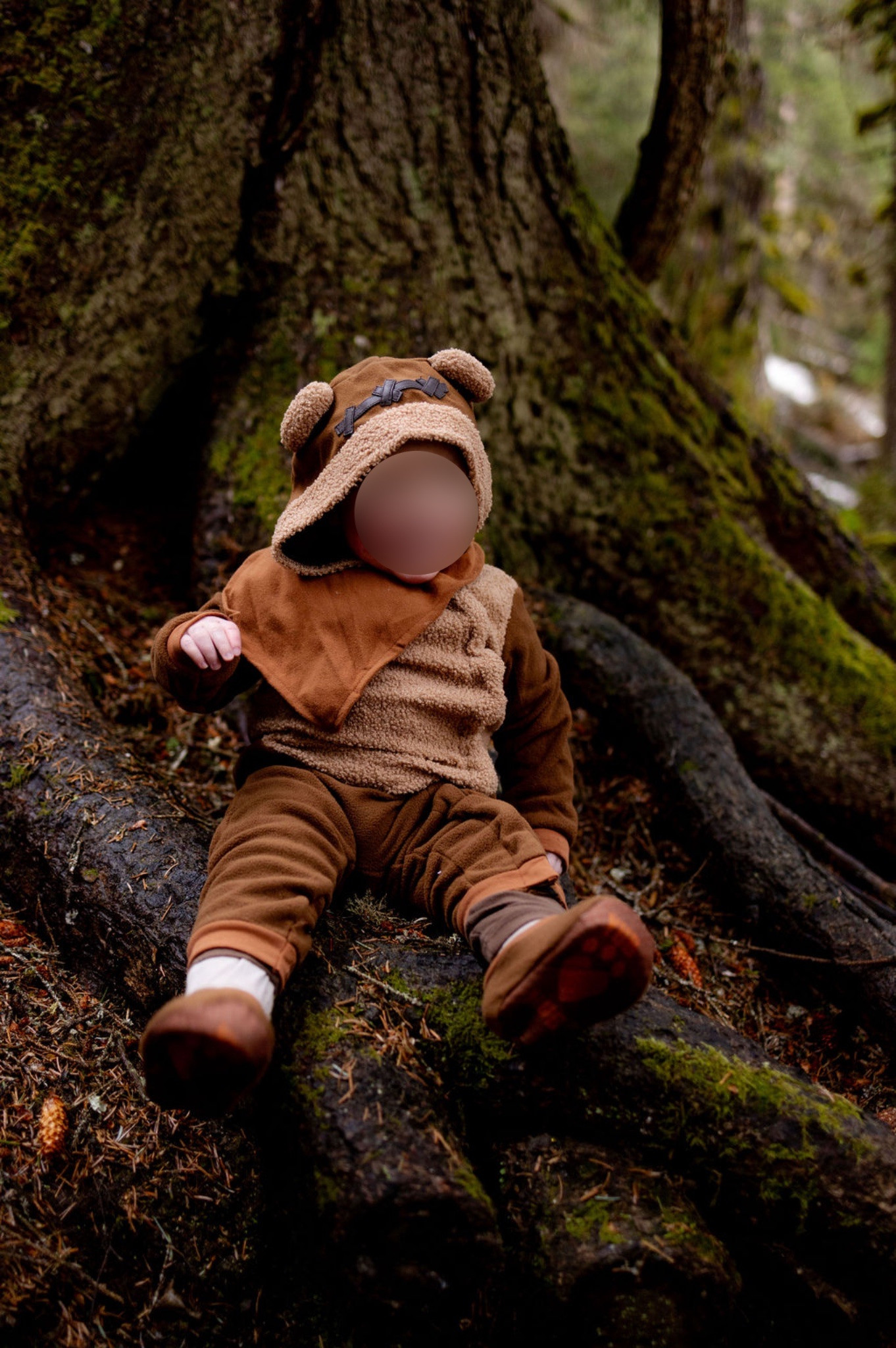 Family photoshoot | family photos | Family photoshoot ideas | Family outfits | Family cosplays | Star Wars family outfits | Star Wars family photoshoot | Star Wars | Princess Leia on Endor inspired outfit | Han Solo on Endor inspired outfit | Chewbacca on Endor inspired outfit | Princess Leia | Princess Leia cosplay | Princess Leia costume | Princess Leia Endor | Han Solo | Han Solo cosplay | Han Solo costume | Han Solo Endor Star Wars inspired outfit | Chewbacca | Chewbacca cosplay | Chewbacca costume | Chewbacca Endor Disney inspired outfit | Star Wars | Lightsaber | Nerd | Fangirl | Disney bound | Disney | Star Wars girl | Star Wars cosplay | Star Wars costume | Toddler costume | 

#LTKKids #LTKFindsUnder50 #LTKFindsUnder100