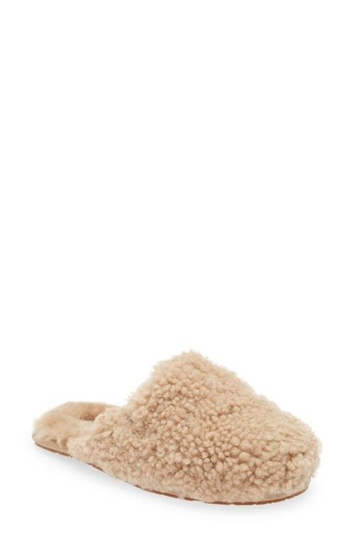UGG(r) Maxi Curly Genuine Shearling Clog in Sand at Nordstrom, Size 10 | Nordstrom