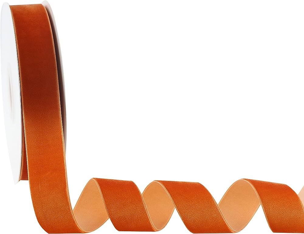 DINDOSAL Terracotta Velvet Ribbon 1 Inch Single Face Burnt Orange Velvet Ribbon for Gift Wrapping... | Amazon (US)