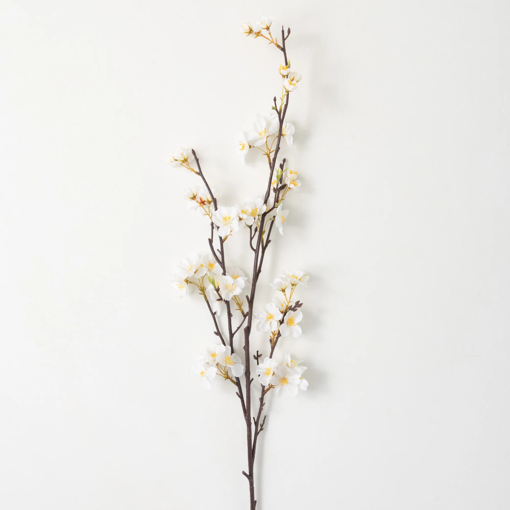Cherry Blossom Arrangement | Wayfair North America