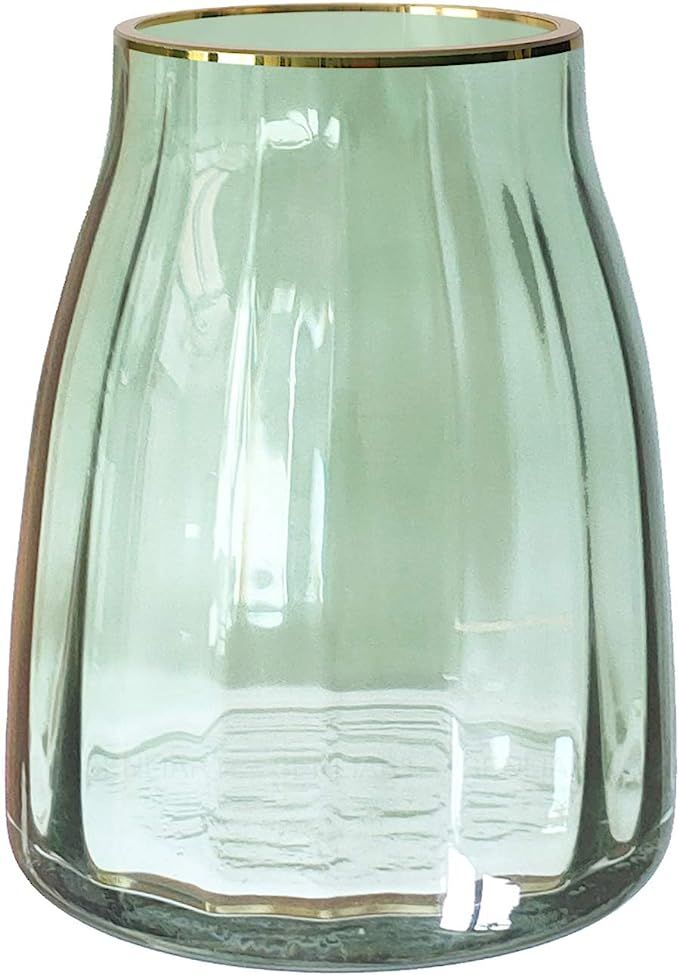 Senliart Clear Glass Vase, Gilded Decor Green Table Centerpiece Vase 7(H) x 5.5(W) | Amazon (US)
