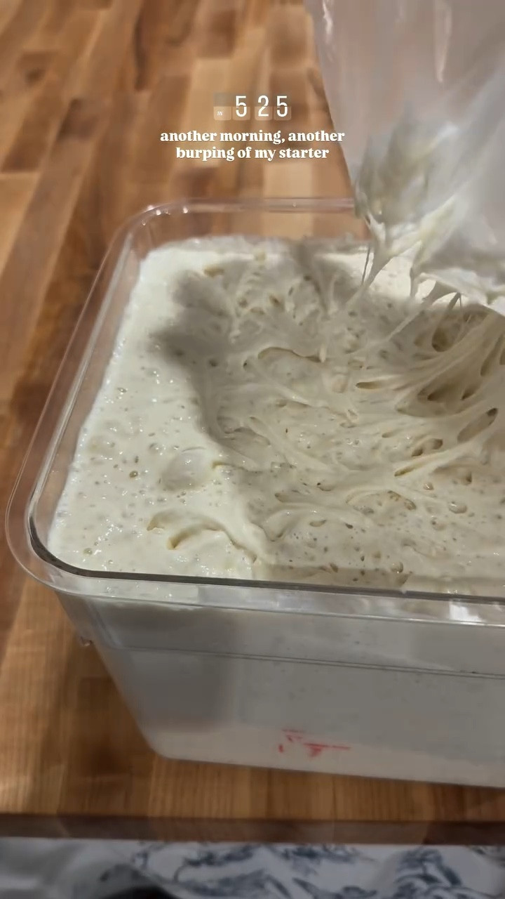 If you grow a big batch sourdough starter like I do, this is the container you need. 🙌
It’s wide-mouthed (hello easy mixing), sturdy, and has plenty of room for an active, bubbly starter to grow without overflowing. 

#LTKHome #sourdoughstarter #bakingessentials

#LTKFamily #LTKItBag #LTKSeasonal
