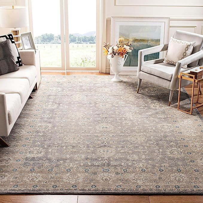 Safavieh Sofia Collection SOF330B Vintage Oriental Distressed Non-Shedding Stain Resistant Living... | Amazon (US)