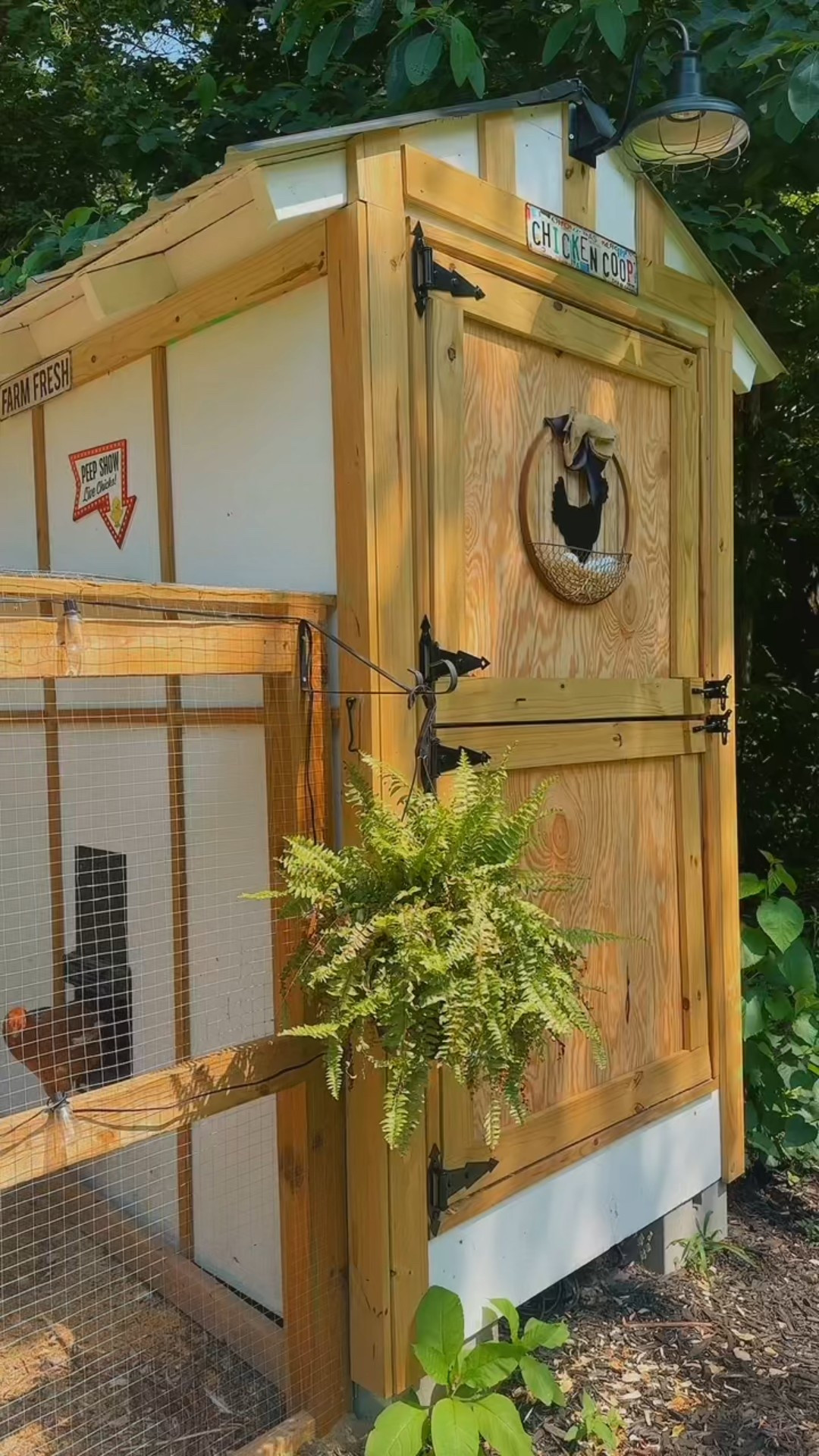 chicken coop links 🐤

#LTKSeasonal #LTKPets #LTKFindsUnder100