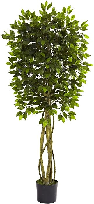 Nearly Natural 5.5ft. Ficus Tree UV Resistant (Indoor/Outdoor) | Amazon (US)
