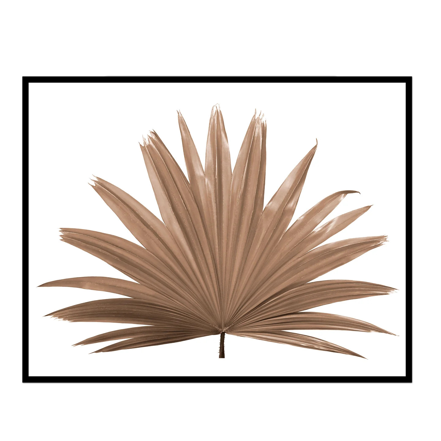 Fan Palm Print | Wall Art | Multiple Colors & Sizes | Urban Garden Prints