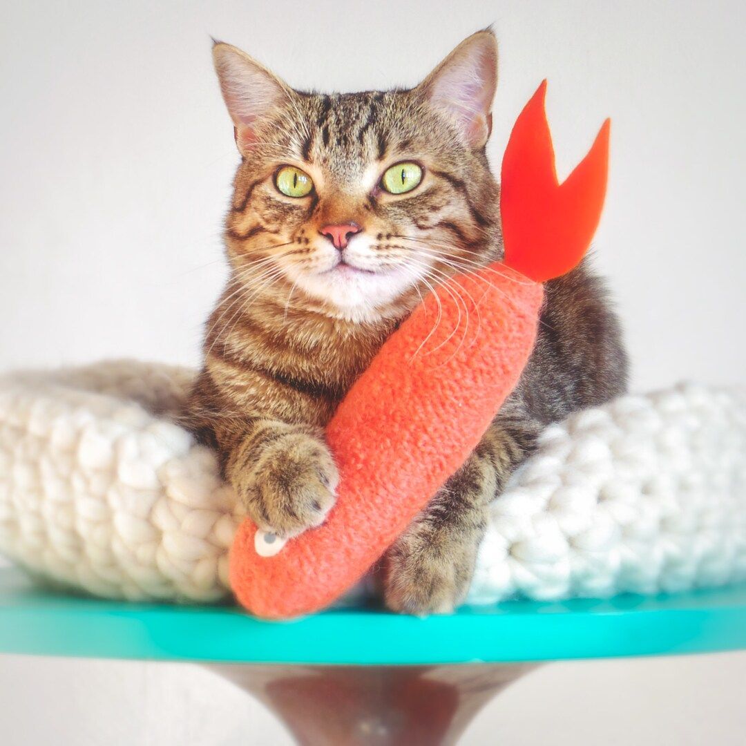 Cat Toys. Coral Salmon. Luxury Cat Toy. Gifts for Cats. Catnip - Etsy | Etsy (US)