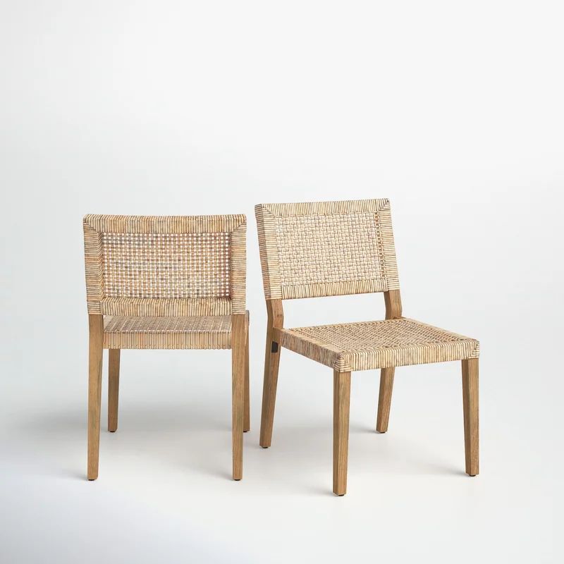 Alani Wicker/Rattan Side Chair (Set of 2) | Wayfair North America