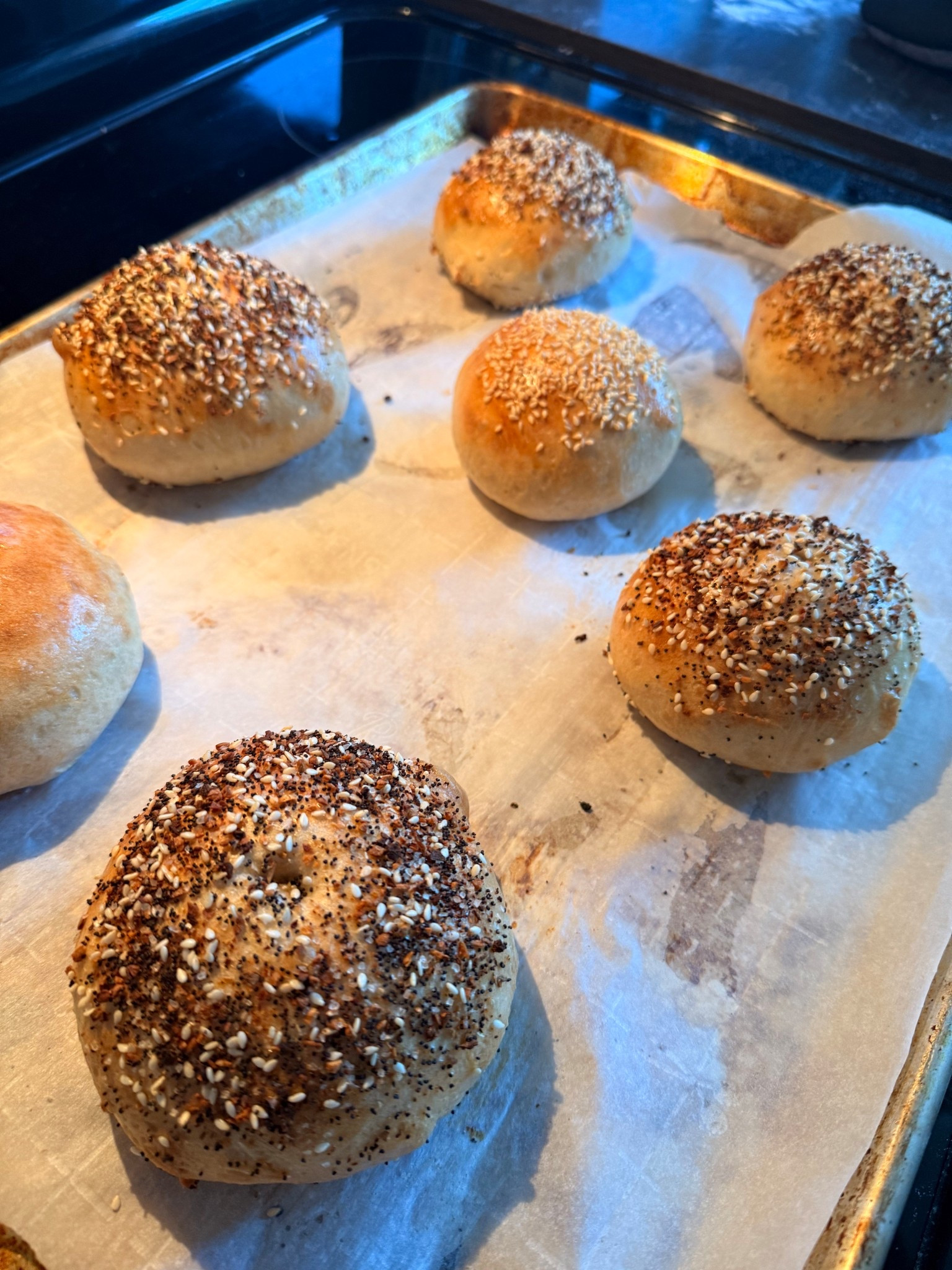 First time and love the recipe! Just need to work on my shaping technique 🤣🤍

#homemadebagels #bread #bagels 

#LTKfoodie #LTKmomlife #LTKdayinmylife