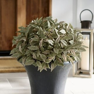 Speckled Bay Leaf Urn Filler | Grandin Road | Grandin Road