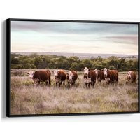 Framed Cow Art, Hereford Canvas, Western Decor, Photo, Cattle Photography, Decor | Etsy (US)