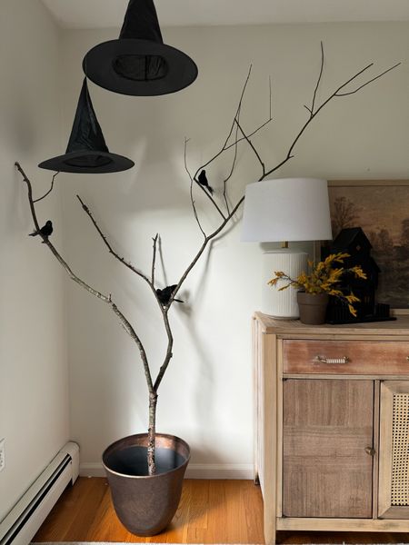 A simple way to decorate for Halloween — with nature & a few added crows! 

#LTKhome #LTKHalloween #LTKstyletip