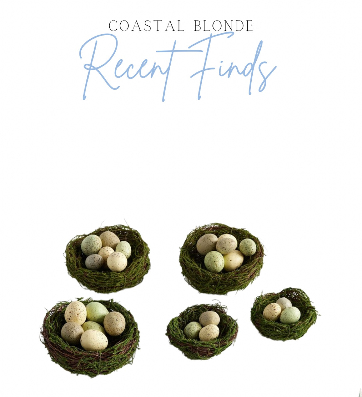 EASTER EGG AND MOSS DECOR FOR SPRINGN

#LTKhome #LTKunder100 #LTKSeasonal