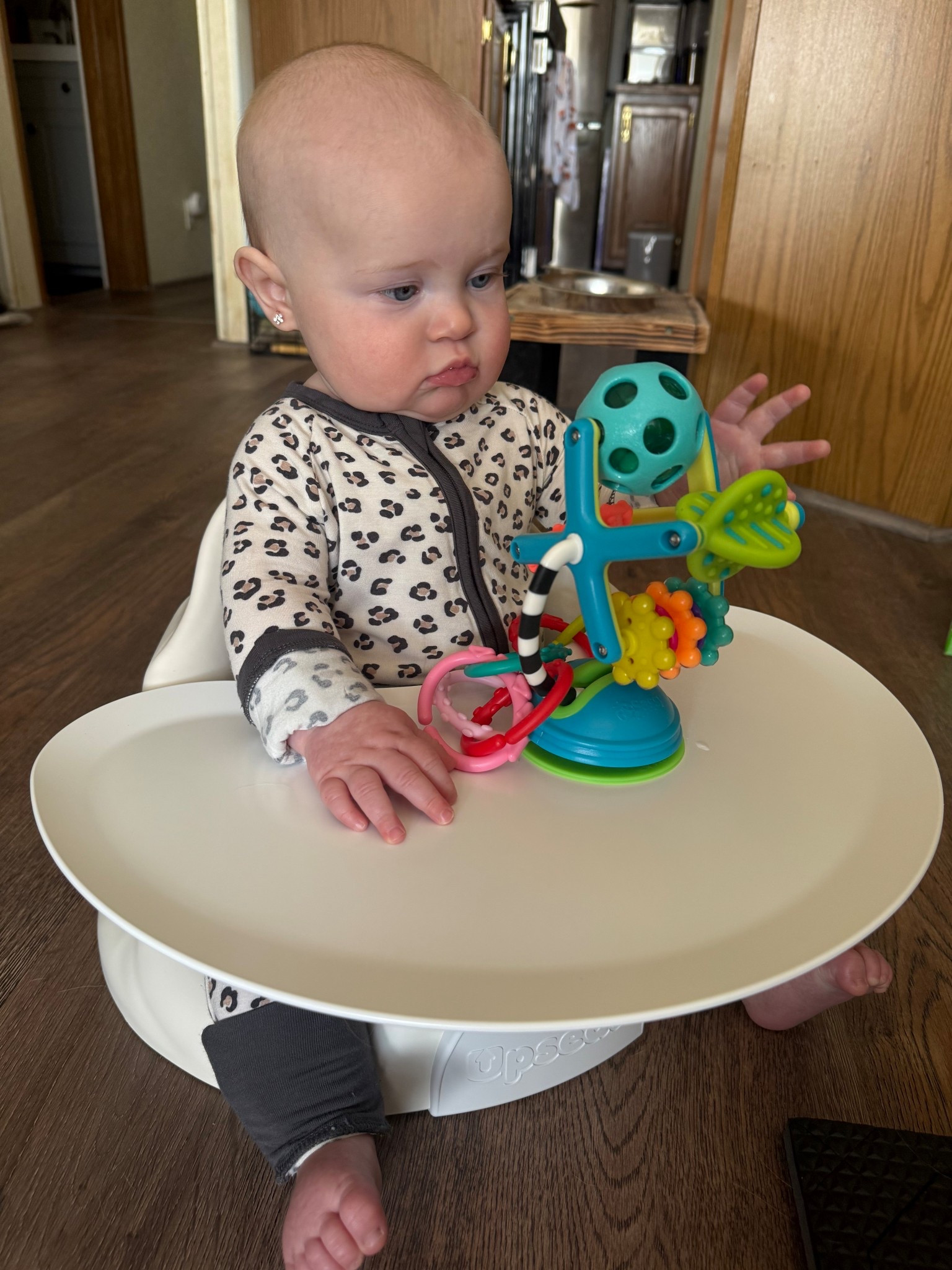 Absolutely loving this upseat! It’s developed to ensure your baby has proper form while sitting. There’s a seatbelt inside, the tray table is removable, and it also comes with an additional strap if you want to attach it to a chair. So easy to wipe down, which is definitely a plus. Charlee seemed really comfy in it! 

#babyseat #girlmom #babyfavorites #babymusthaves #infantseat #babytoys

#LTKFamily #LTKBump #LTKBaby