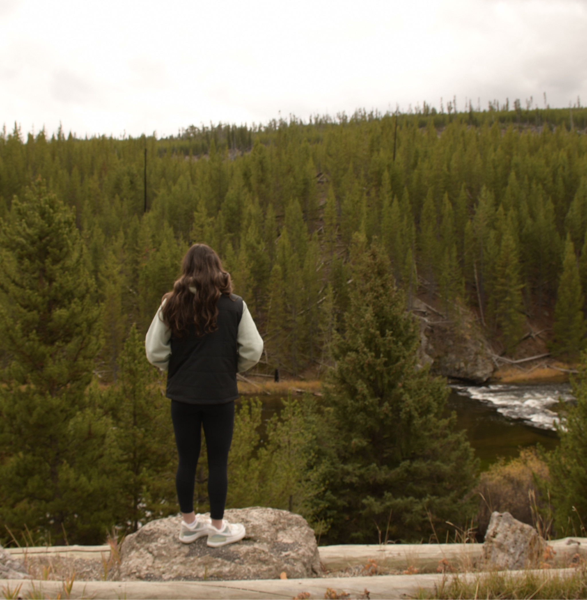 Winter Outfit







Nike, Abercrombie, Yellowstone National Park, Hiking Outfit

#LTKshoecrush #LTKCyberWeek #LTKtravel