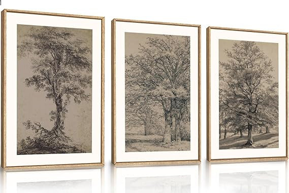KAIRNE Vintage Tree Sketch Wall Art Set, Antique Tree Drawings Wall Decor, Nature Sketch Wall Pai... | Amazon (US)