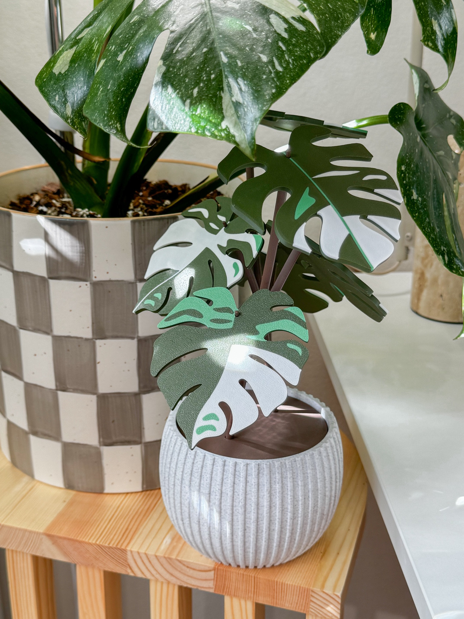Monstera plant drink coasters 🌱

#LTKHome #LTKFindsUnder50 #LTKU