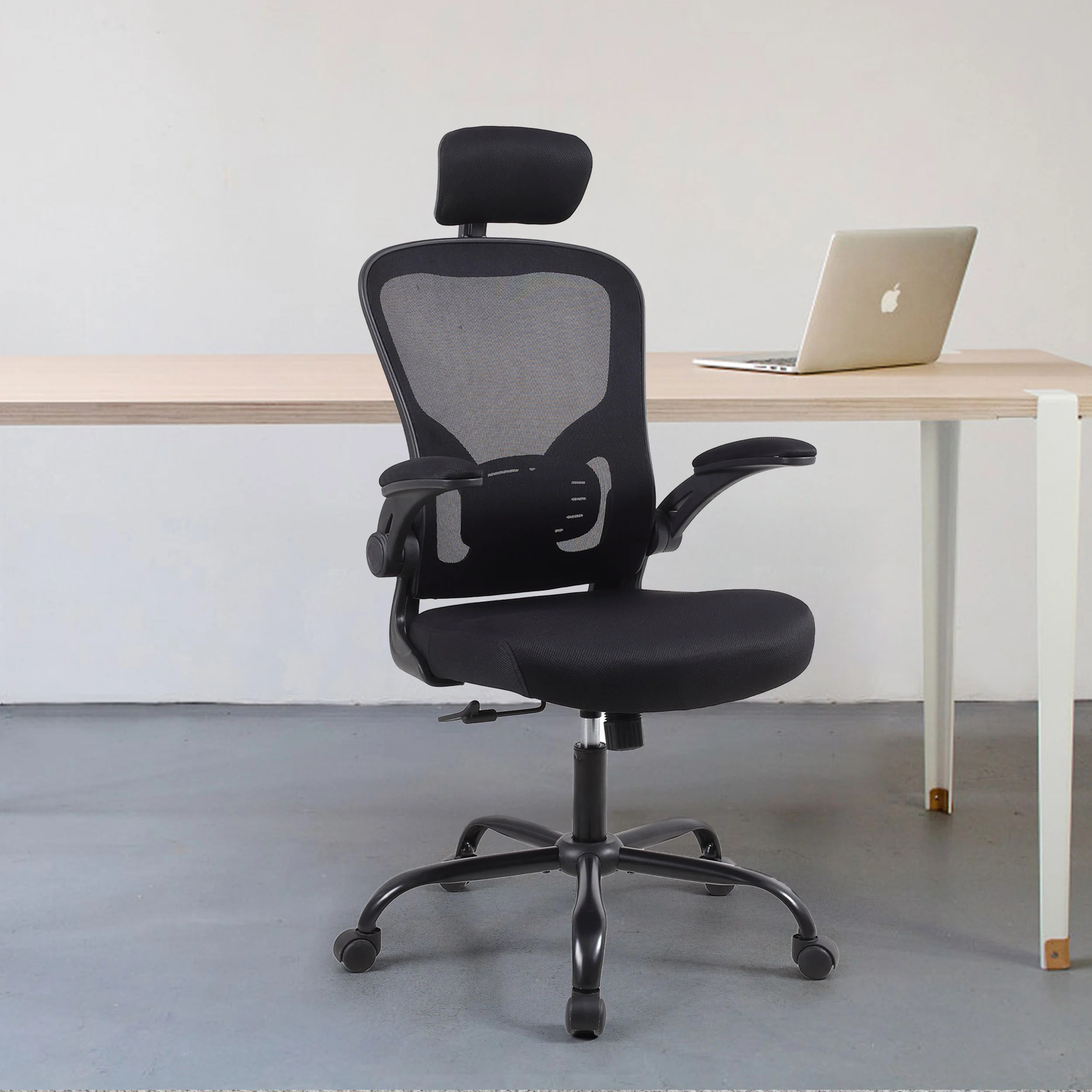 Inbox Zero Itziar Ergonomic Desk Chair Office Chair Home Office Mesh Task Chair with Headrest & R... | Wayfair North America