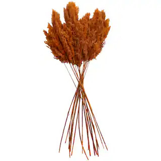 Dried Plant Pampas Natural Foliage with Long Stems | Michaels | Michaels Stores