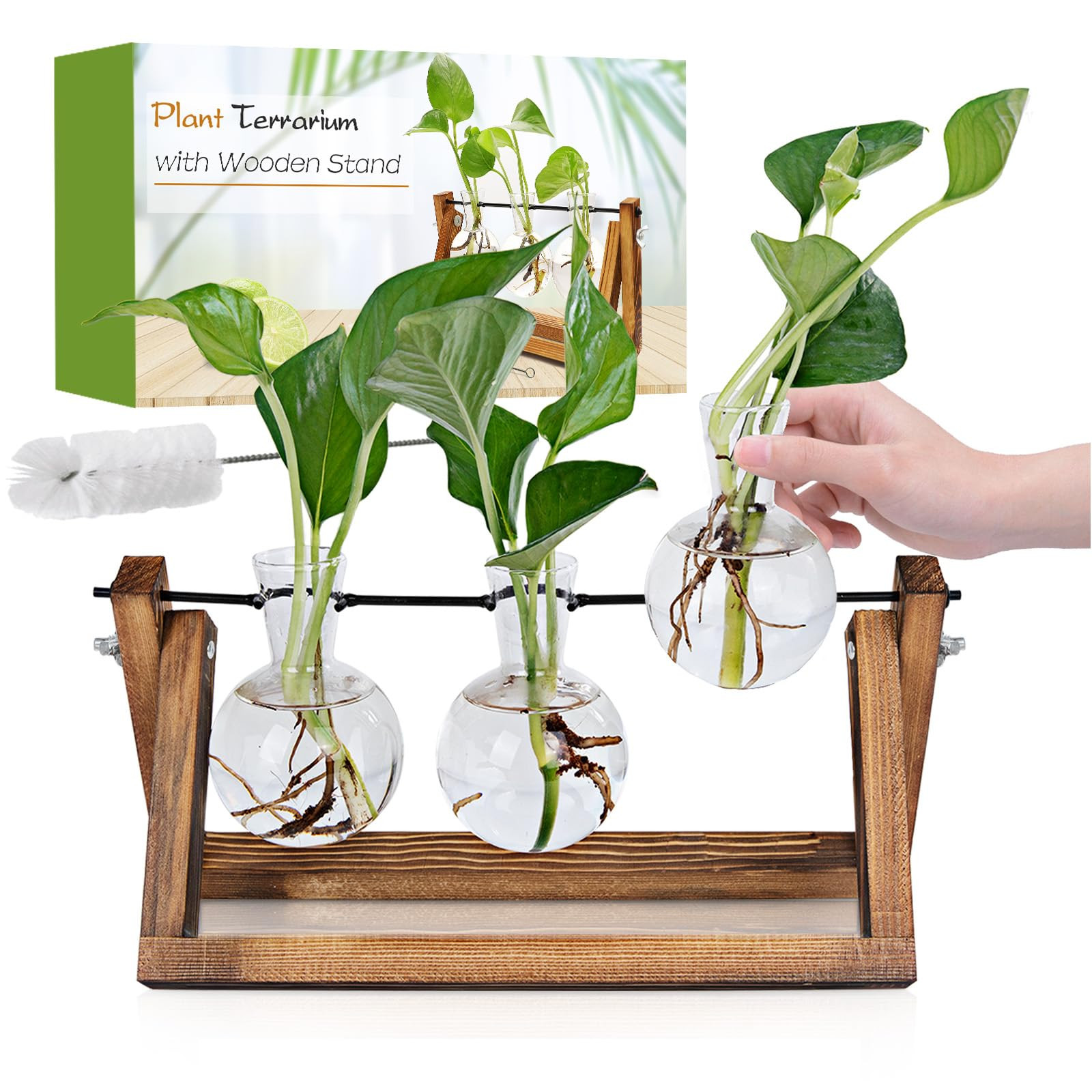Plant Propagation Station, Plant Terrarium with Wooden Stand, Unique Gardening Birthday Gifts for... | Amazon (US)