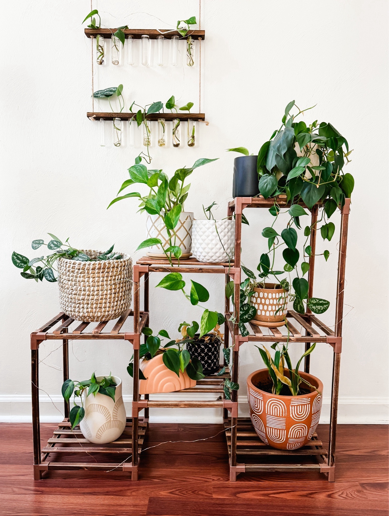 Plant stand

#LTKfindsunder50 #LTKhome #LTKstyletip