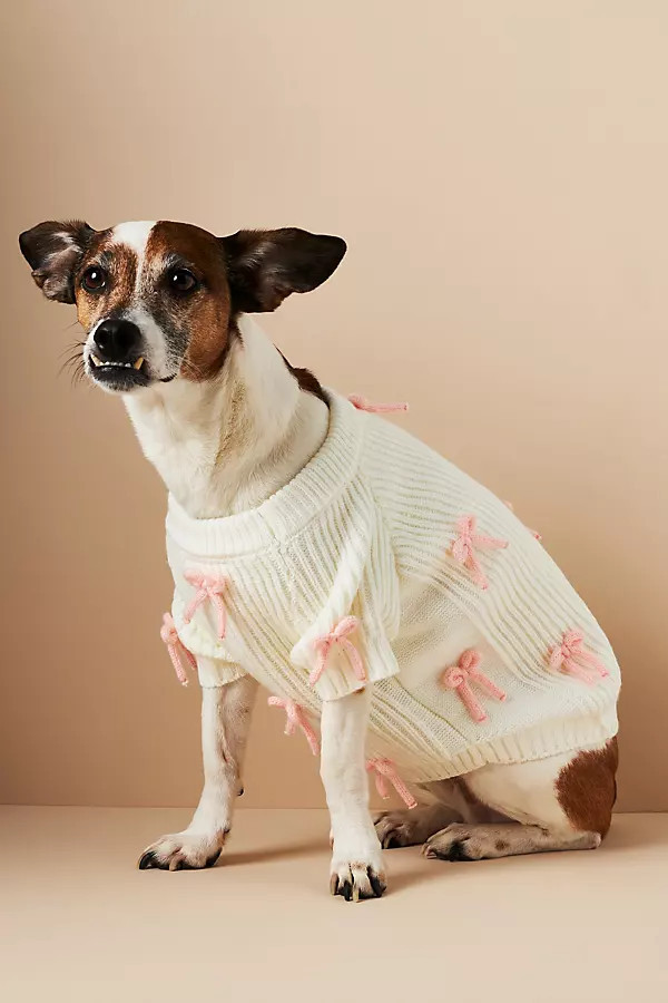 3D Motif Pet Sweater | Anthropologie (US)