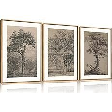 KAIRNE Vintage Tree Sketch Wall Art Set, Antique Tree Drawings Wall Decor, Nature Sketch Wall Pai... | Amazon (US)