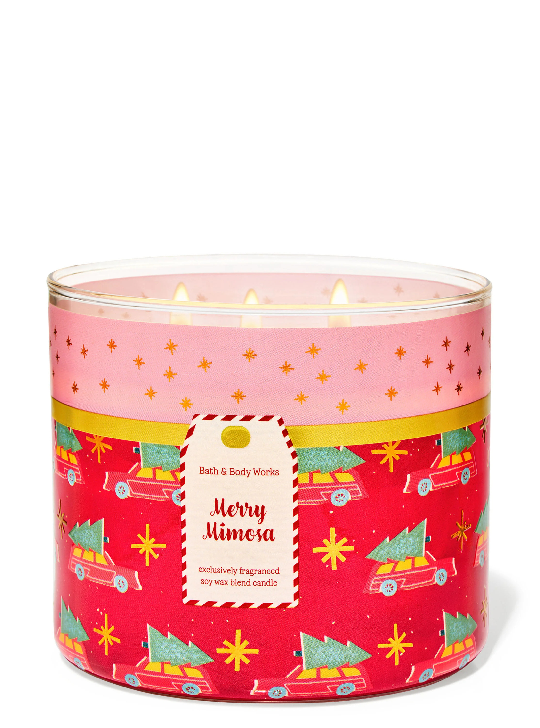 Merry Mimosa


3-Wick Candle | Bath & Body Works