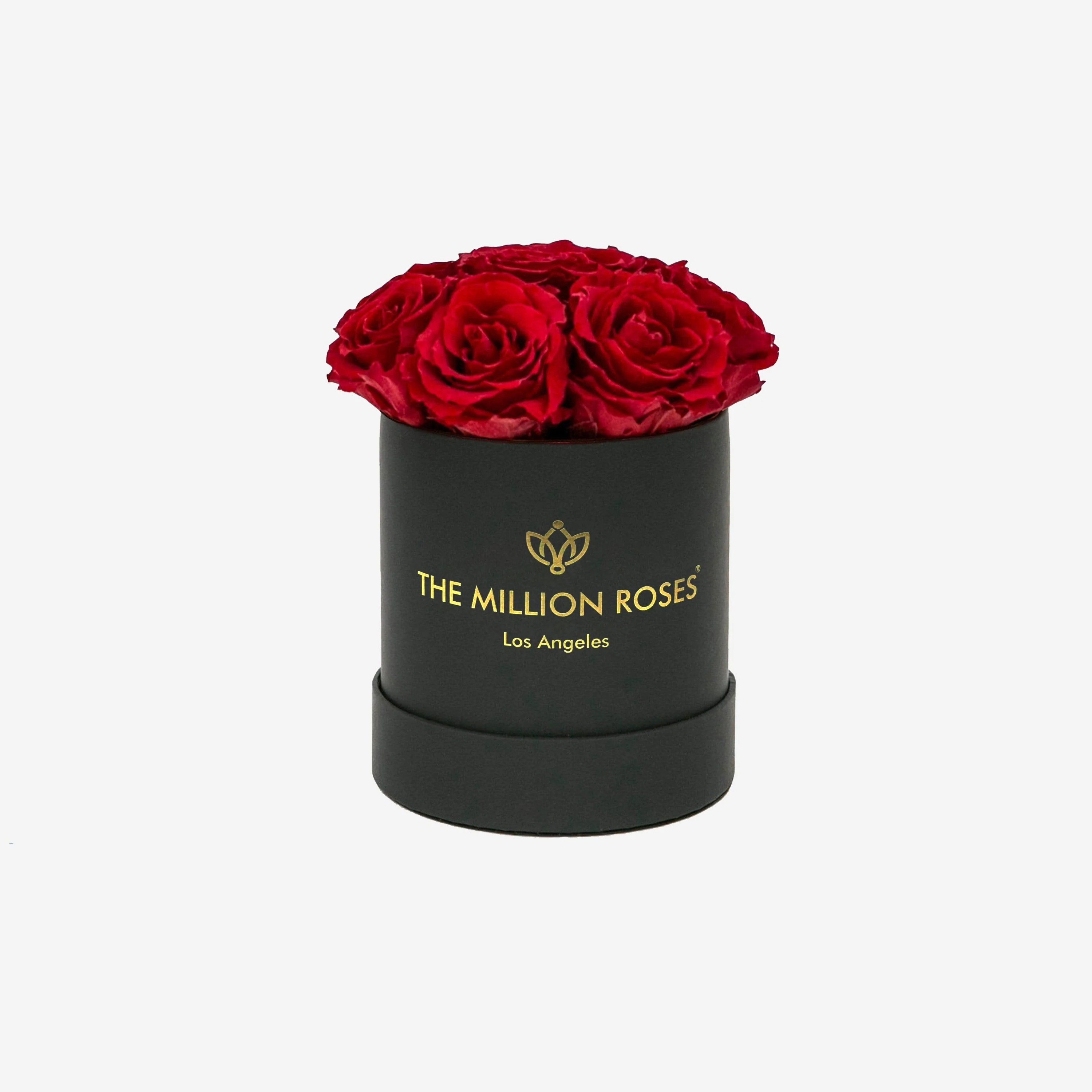 Basic Black Box with Red Roses | The Million Roses | The Million Roses