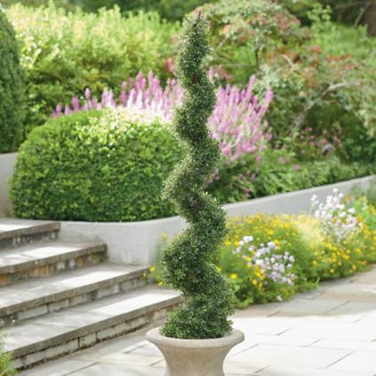 Mini Tea Leaf Spiral Topiary | Grandin Road
