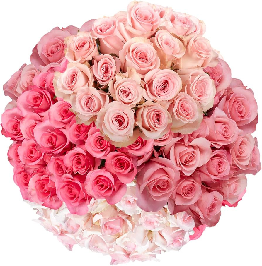 100 Pink Roses- Fresh Flower - Lovely Pink Blooms | Amazon (US)