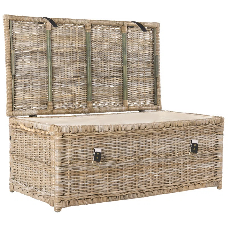 Ammann Wicker Trunk | Wayfair North America