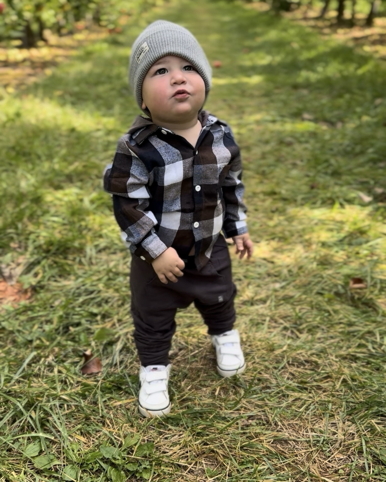 Fall fits for toddler boys 🍁 
.
.
#fall #toddler #boy #fashion #kids #baby 

#LTKBaby #LTKStyleTip #LTKKids