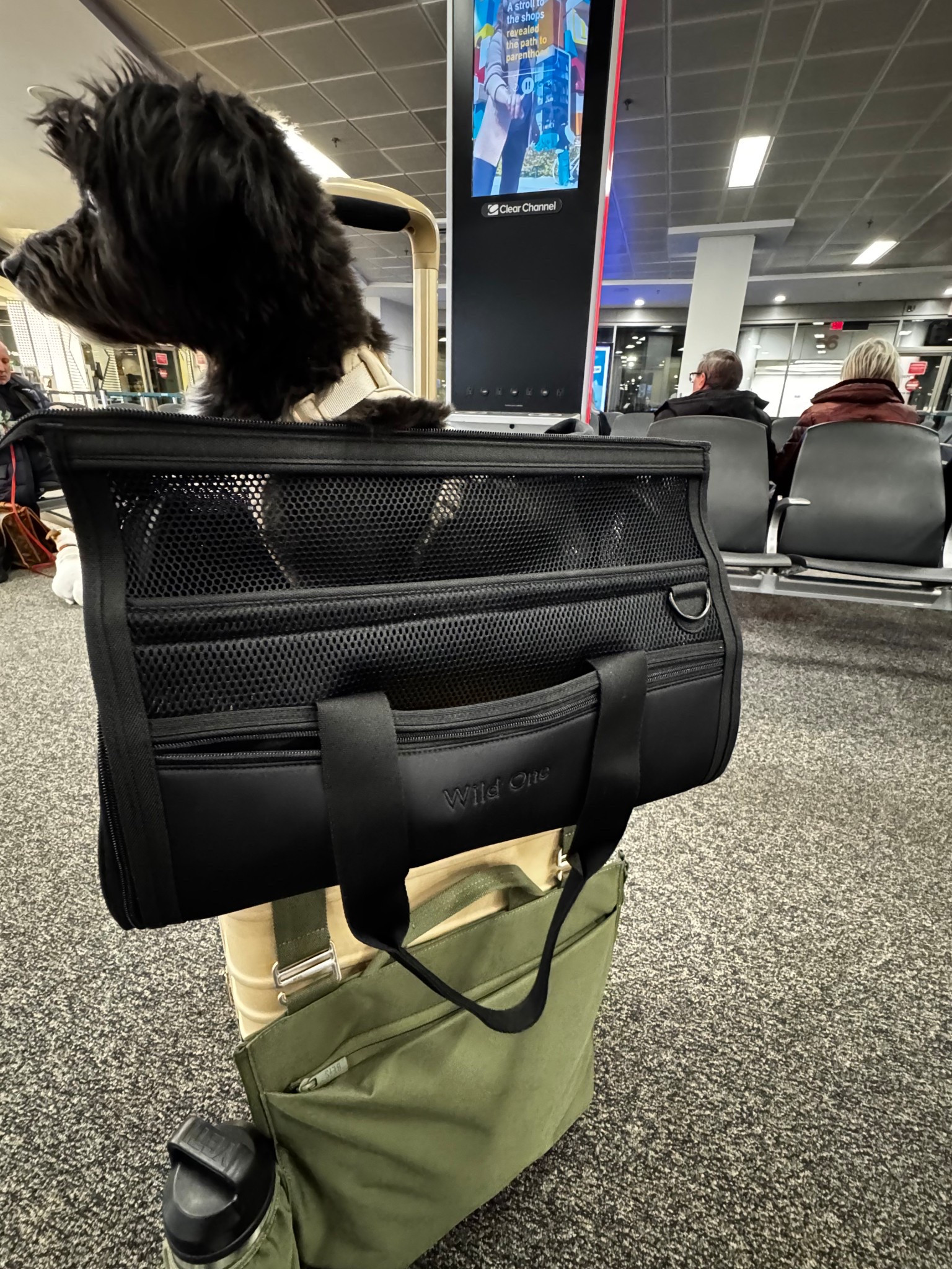 The travel pet carrier that I use! I also use the BEIS suitcase vest to store her documents for easy access when checking in at the airport.

#LTKPets #LTKTravel