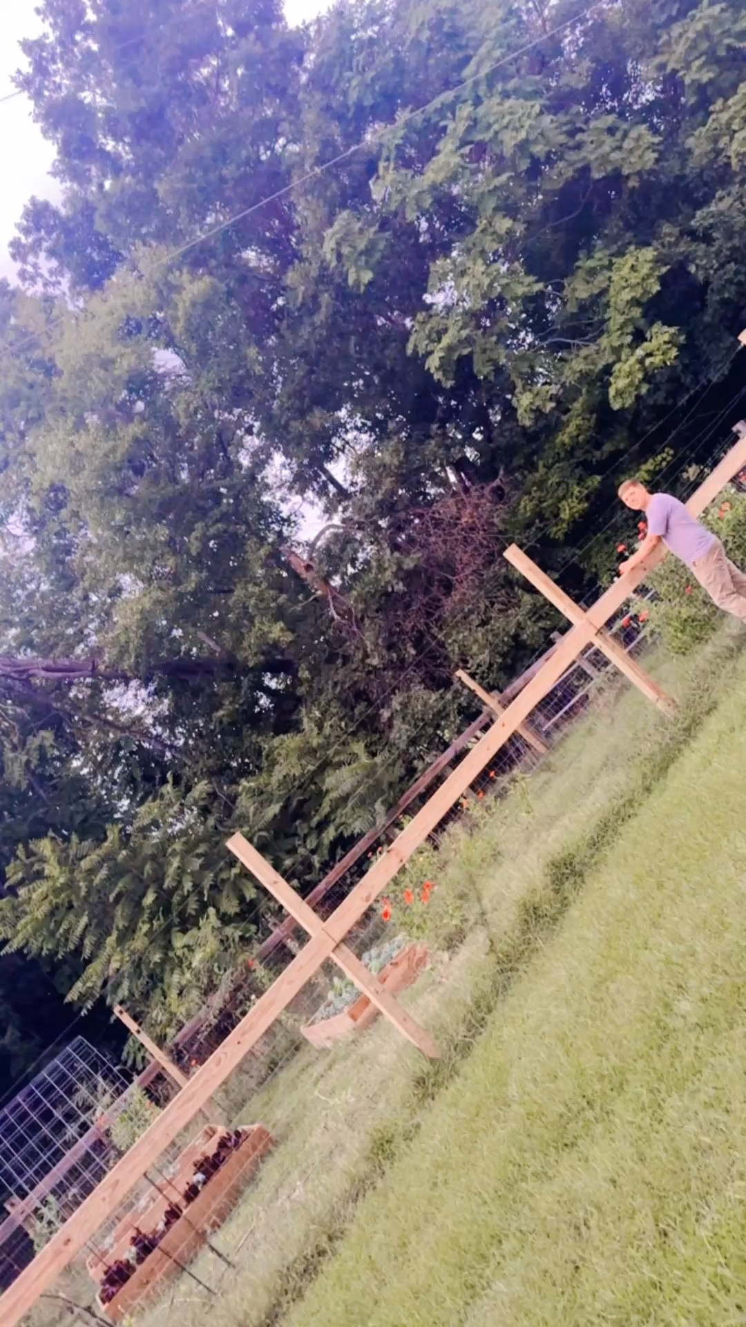 Our fall garden 🪏🪴 is thriving (!!) y’all 🤩 - look at all that homegrown goodness!!! 💐🥬🌼🥦 And the boys loved 🥰 getting to pick 🧺 their dessert 😋 (of fresh berries 🩷💜) straight from the ground!! 💫 Fall farm nights like this truly are the best!!! 🐓🌳🦌