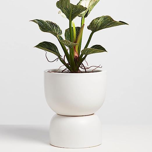 PEACH & PEBBLE Ceramic Hourglass Planter. 3 Piece Plant Pot Set with Drainage Hole and Drainage C... | Amazon (US)