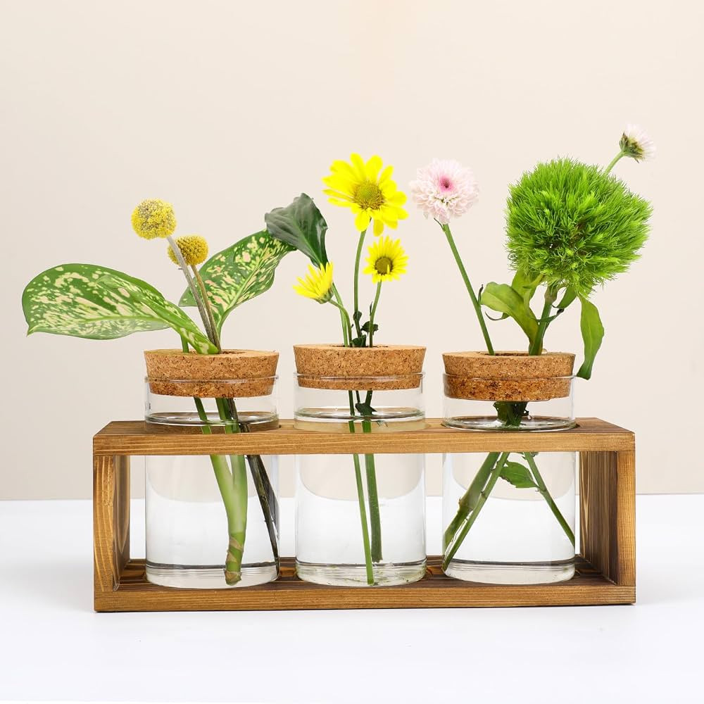 Pechaut Propagation Station for Plant Growth, Ideal Gifts for Women, Enhances Home Dcor, Ideal In... | Amazon (US)