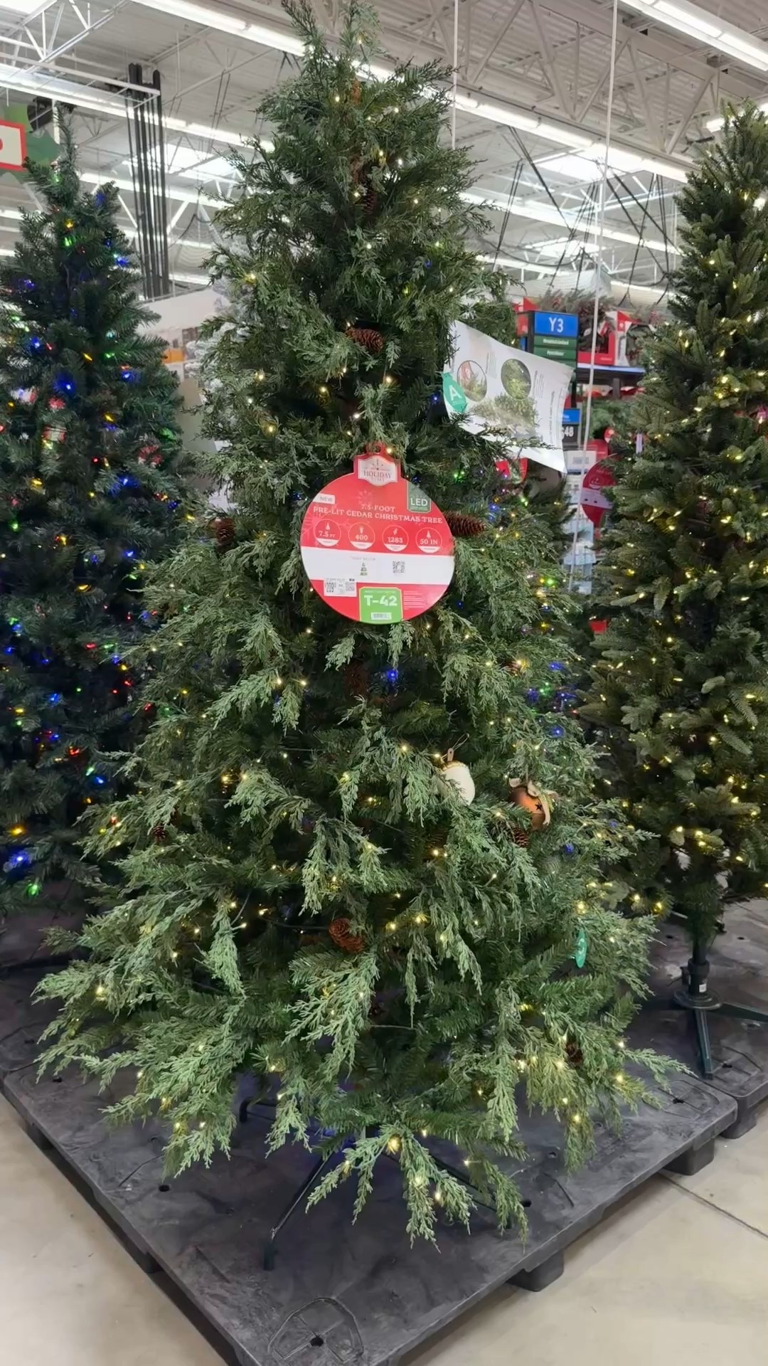 I’m on the hunt for a new faux tree that looks and feels real. I think I found it!

#LTKHome #LTKSeasonal