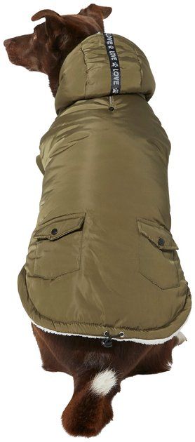 Frisco Love Insulated Dog & Cat Coat, Olive, Large | Chewy.com