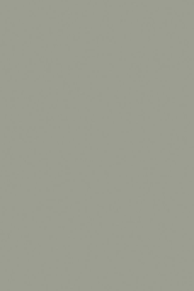 Pigeon No.25 - 1 Gallon | Anthropologie (US)