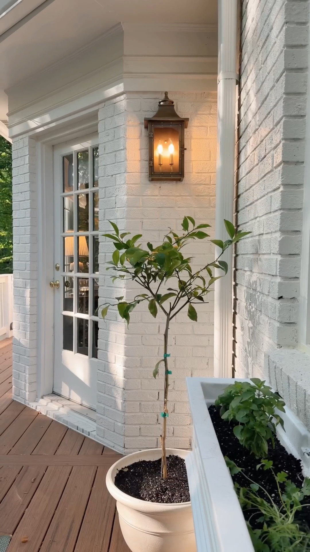 #ad The second I saw this kitchen I had a dream of a little window box herb garden and it has finally come to life! 🪴 I grabbed this one from @wayfair and a few other pieces to make this space come to life! Comment ‘shop’ and I’ll send links to everything I used! #WayfairPartner #wishyouwerehere #outdoor #Wayfair