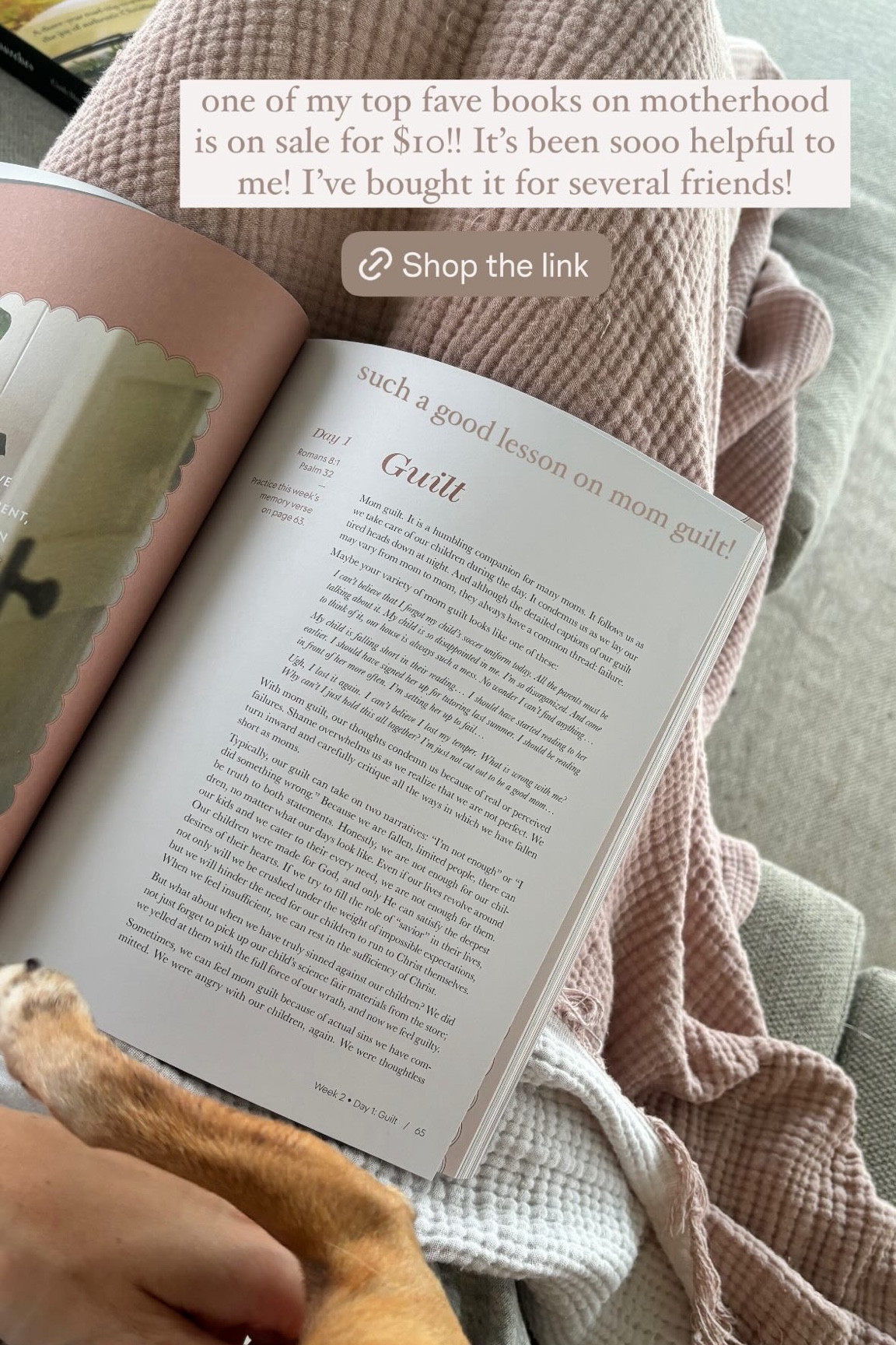 Such a helpful study on motherhood!! I’m planning to start this again soon because it was so impactful for me! I also bought a few copies to gift to friends!

#biblestudy #dailygraceco #motherhood #booksonmotherhood 

#LTKGiftGuide #LTKFindsUnder50 #LTKBaby