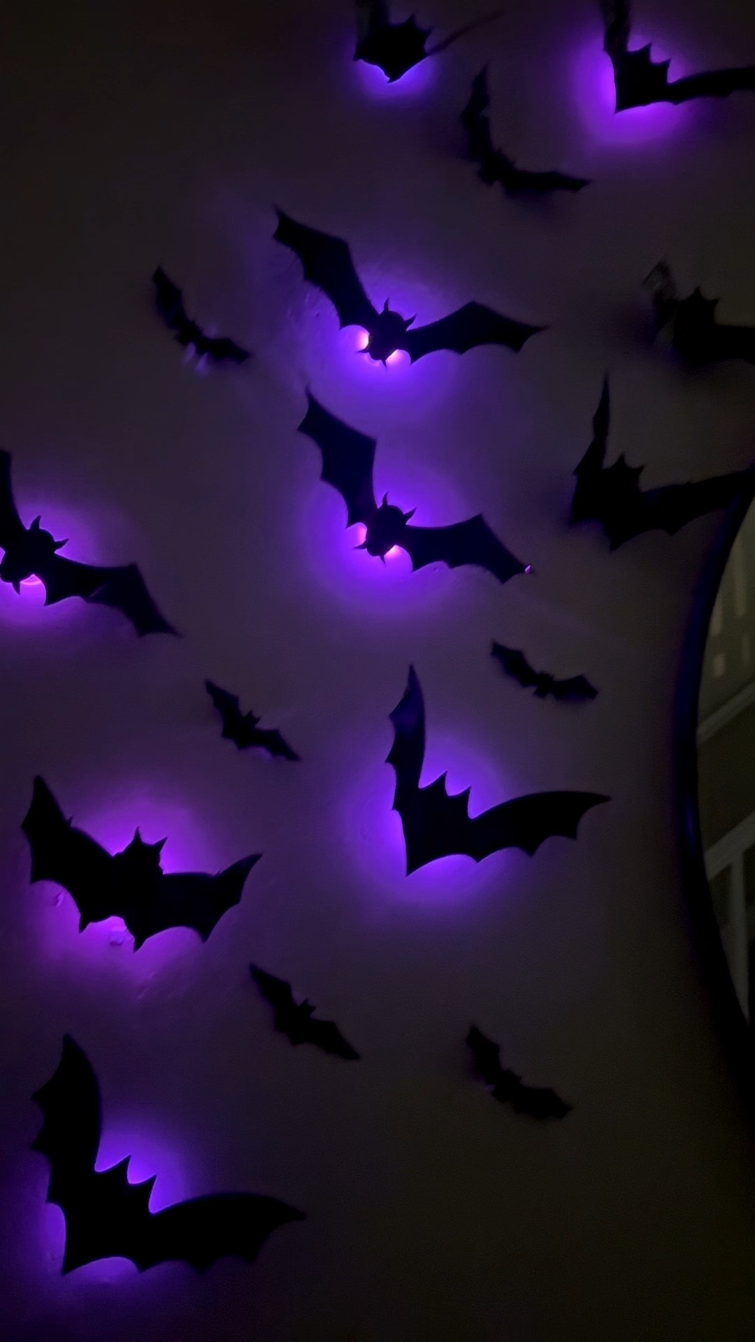 LED Halloween bats decor 

#LTKFallSale #LTKSeasonal #LTKSaleAlert