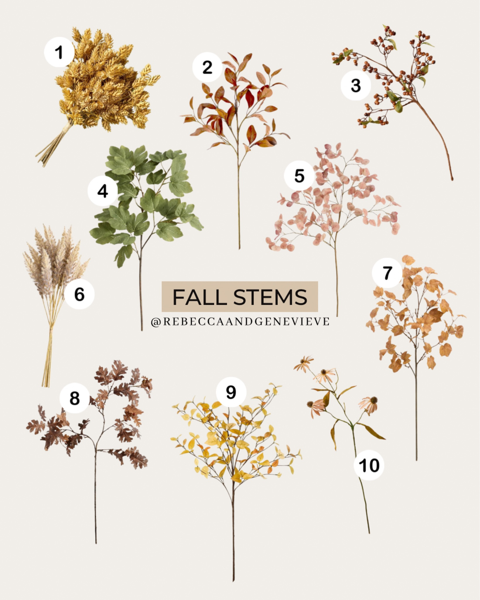 Fall stems for different budgets 🍂
-
Fall decor. Faux floral. Home decor. 

#LTKHome #LTKFindsUnder50 #LTKSeasonal