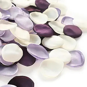 Floroom 300pcs Rose Petals Lilac Plum Faux Silk Flower Petals for Wedding Flower Girl Basket Aisl... | Amazon (US)