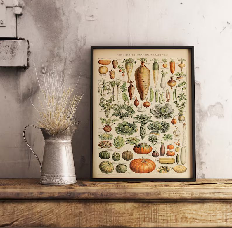 Vegetable Legumes Wall Chart by Adolphe Millot  Vegetables | Etsy | Etsy (US)